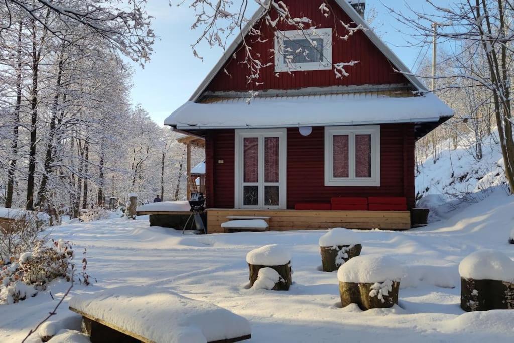 Chatky U Potoka Chatka N3 Olesnice v Orlickych horach Exterior photo